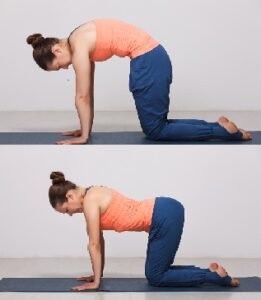 4 Simple Yoga Poses for Arthritis Pain Image